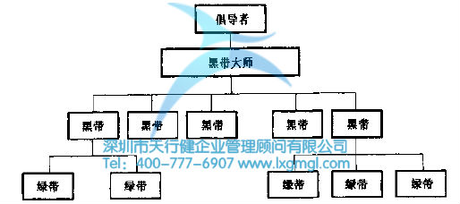 六西格瑪管理的組織圖 六西格瑪組織結構及團隊成員的作用