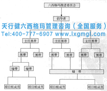 六西格瑪?shù)慕M織架構圖 六西格瑪組織中各位置所擔當?shù)慕巧? width=