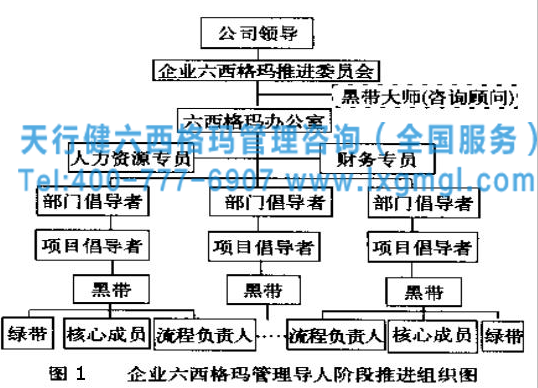 六西格瑪不同角色組織圖 六西格瑪組織中不同角色的主要職責(zé)介紹