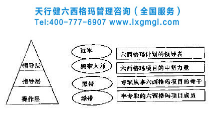 六西格瑪團隊 六西格瑪管理團隊組織模式創新
