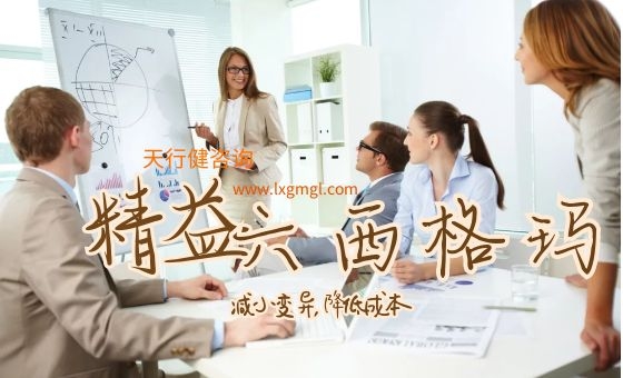 企業(yè)實(shí)施精益六西格瑪項目的基本支持要素
